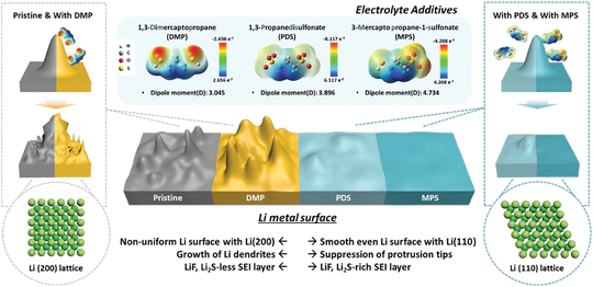 Asymmetrical Functionalization of Polarizable Interface Restructuring Molecules for Rapid and Longer Operative Lithium Metal Batteries