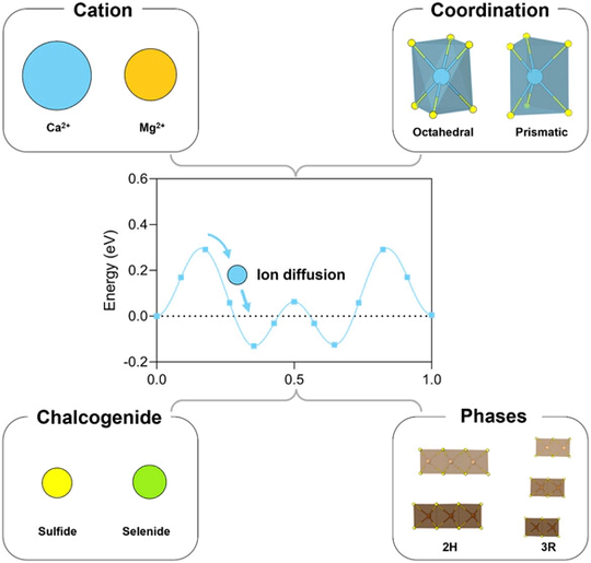 Multivalent Ion Mobility in Layered NbS2 and NbSe2 Structures with Trigonal Prismatic Transition Metal Coordination