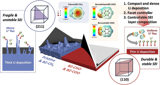 Tuning Interface Dynamics of Benzene-based Molecular Dipoles for High Capacity and Long Lifespan in Lithium Metal Batteries